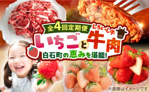 【先行予約】【4回定期便】産地直送！白石町産 いちごと牛肉の定期便 [IZZ019] 417264 - 佐賀県白石町