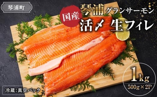 【冷蔵：真空パック】国産 琴浦グランサーモン 活〆 生フィレ 1kg（500g×2P） 1463008 - 鳥取県琴浦町