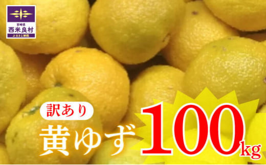 [ワケあり]黄柚子 100kg! (軽バンでお届け)※11月より発送開始