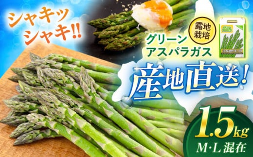  アスパラ アスパラガス グリーンアスパラ 冷蔵 冷蔵配送 野菜 春野菜