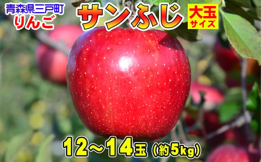 りんご[サンふじ]大玉サイズ 12〜14玉(約5kg)[2024年産・先行予約]