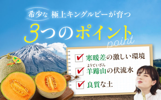  メロン 数量限定 化粧箱入り 贈答用 先行予約 フルーツ 果物 