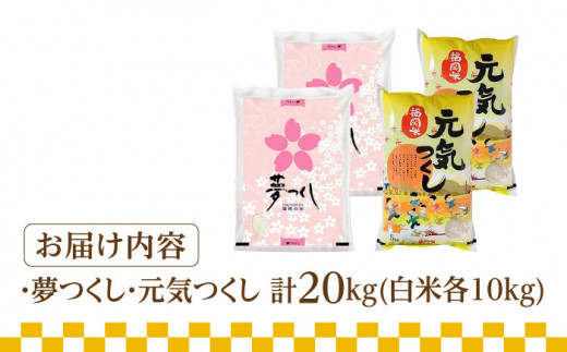 令和5年産】福岡県産米食べ比べ「夢つくし」と「元気つくし」セット 白米 計20kg《築上町》【株式会社ゼロプラス】 [ABDD015] お米 白ご飯  元気つくし ブランド米 夢つくし 41000円 4万1千円 - 福岡県築上町｜ふるさとチョイス - ふるさと納税サイト