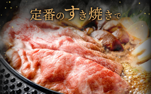 復刻！九州産 黒毛和牛 赤身スライス (もも・うで) 1.2kg (300g×4パック) 