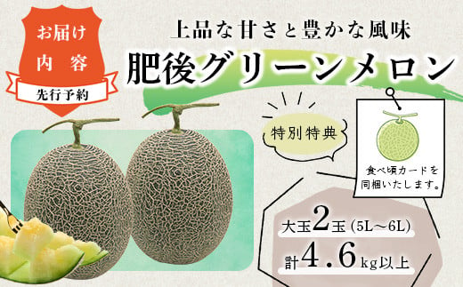 熊本県多良木町のふるさと納税 【2025年6月上旬〜順次発送 先行予約】大玉 肥後グリーンメロン 2玉 約4.6kg以上 熊本県産【 果物 フルーツ グリーンメロン 先行予約 4.6kg 青肉 期間限定 数量限定 熊本県 多良木町 】 101-0001