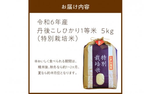 令和6年産 丹後こしひかり 特別栽培米 5kg 白米 お弁当 おにぎり 京都産 京丹後 コシヒカリ ブランド米 久美浜 生産者応援 農家応援 送料無料  MU00044 - 京都府京丹後市｜ふるさとチョイス - ふるさと納税サイト