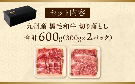 復刻！九州産黒毛和牛切り落とし 600g(300g×2パック)