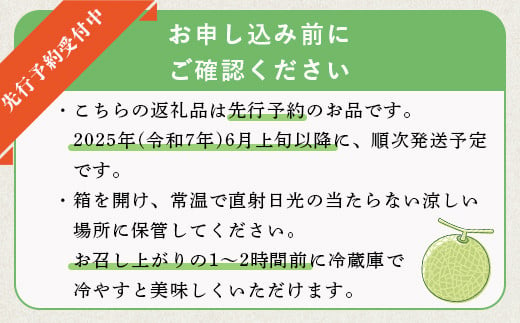 熊本県多良木町のふるさと納税 【2025年6月上旬〜順次発送 先行予約】大玉 肥後グリーンメロン 2玉 約4.6kg以上 熊本県産【 果物 フルーツ グリーンメロン 先行予約 4.6kg 青肉 期間限定 数量限定 熊本県 多良木町 】 101-0001