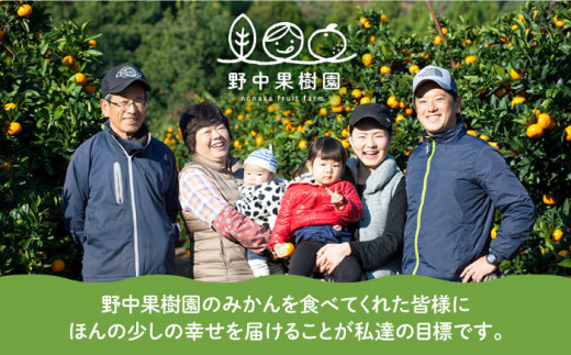 先行予約】ハウス せとか 3キロ化粧箱セット＜2月～3月発送