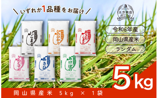 【令和6年産米】岡山県産米 5kg （5kg × 1袋）【お米 ランダム 配送 ヒノヒカリ にこまる 朝日 アケボノ あきたこまち 令和6年産 米 精米】 1466554 - 岡山県備前市