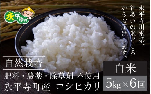 【先行予約】【令和6年産 新米】【6ヶ月連続お届け】自然栽培米 永平寺町産 コシヒカリ 【白米】５kgx6ヶ月（計30kg）無農薬 化学肥料  除草剤 不使用 福井県 永平寺 定期便 1466160 - 福井県永平寺町