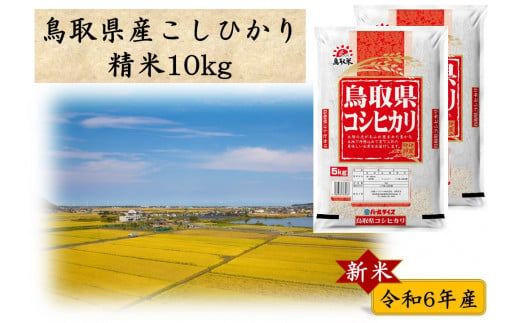 270J.鳥取県産こしひかり◇精米10kg◇令和6年産 1056743 - 鳥取県湯梨浜町