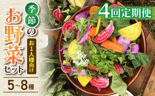 【４回定期便】お試し季節のお野菜セット（お一人様向け）｜アグロノーム 1464065 - 長野県東御市