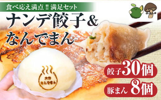 ナンデ餃子＆大分なんでまんセット（餃子30個、豚まん8個） 1469382 - 大分県別府市