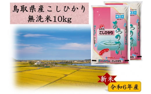 271J.鳥取県産こしひかり◇無洗米10kg◇令和6年産 1056742 - 鳥取県湯梨浜町