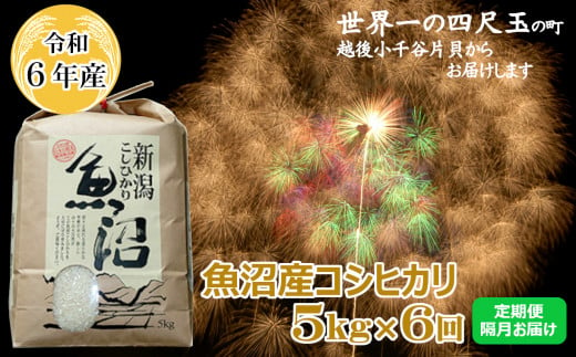 K76P308 ＜令和6年産＞魚沼産コシヒカリ定期便 5kg×6回（隔月お届け）【(有)米萬商店】世界一の四尺玉の町片貝町 白米 魚沼 米 定期便 772574 - 新潟県小千谷市