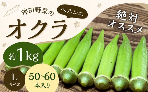 神田野菜の絶対オススメ オクラ （ヘルシエ） 1kg （Lサイズ 50～60本）【2024年7月上旬から12月下旬発送予定】 野菜 やさい 国産 1466543 - 福岡県北九州市