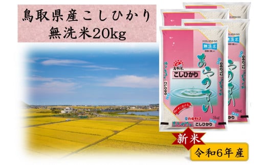 273J.鳥取県産こしひかり◇無洗米20kg◇令和6年産 1056751 - 鳥取県湯梨浜町