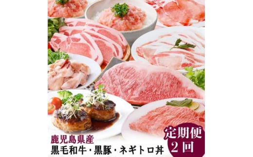 定期便2回配送　バラエティーセット　CC0-0002 _ 定期便 牛肉 肉 お肉 黒毛和牛 サーロイン ステーキ 真空パック 黒豚 ハンバーグ まぐろ ネギトロ 豚肉 しゃぶしゃぶ ロース リブロース ホルモン 牛ホルモン 焼肉 BBQ 鹿児島県 枕崎市 【1543254】