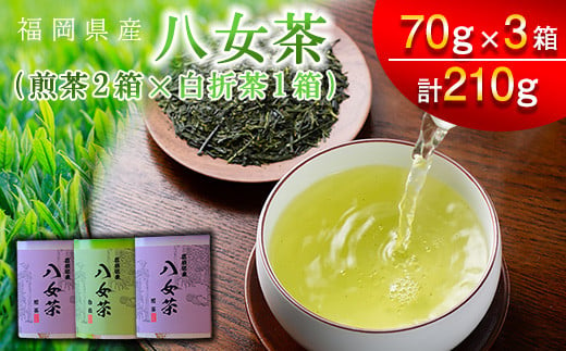 【スカイパレード】福岡県産 八女茶 煎茶 70g×3 SP002-1 1491088 - 福岡県須恵町