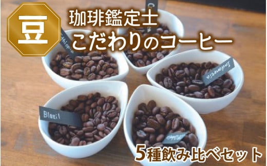 [豆のまま][珈琲鑑定士が選ぶ]スペシャルティコーヒー豆 5種類飲み比べセット[500g コーヒー 珈琲 コーヒー豆 飲み比べ 稀少豆] [A-043004_01]