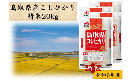 272J.鳥取県産こしひかり◇精米20kg◇令和6年産 1056750 - 鳥取県湯梨浜町