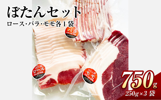 ぼたんセット 計750g 250g×3袋 ロース バラ モモ スライス お肉 肉 ぼたん肉 ボタン肉 ぼたん 猪 猪肉 ヘルシー 1438410 - 長崎県長崎市