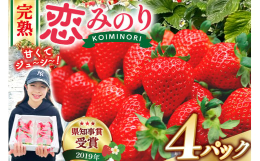 【期間限定発送】 いちご 恋みのり 1kg 以上 4パック [キチ・フィールド 長崎県 雲仙市 item1850] イチゴ 苺 フルーツ 果物 期間限定 季節限定 先行予約