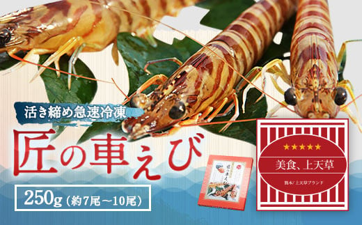 匠の 車えび 【活き締め急速冷凍】 250g （7尾～10尾） 車海老 クルマエビ えび 海老 エビ 魚介 海鮮 冷凍