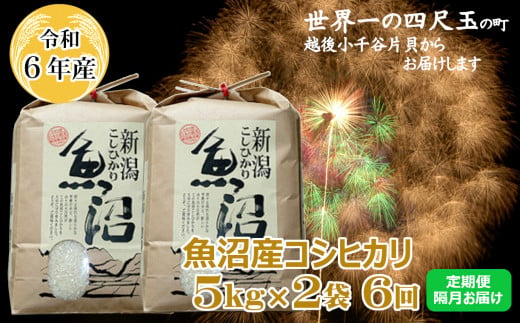 K151P310 ＜令和6年産＞魚沼産コシヒカリ定期便 5kg2袋×6回（隔月お届け）【(有)米萬商店】世界一の四尺玉の町片貝町 白米 魚沼 米 定期便 772576 - 新潟県小千谷市