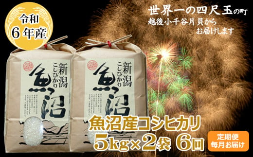 K151P309 ＜令和6年産＞魚沼産コシヒカリ定期便 5kg2袋×6回（毎月お届け）【(有)米萬商店】世界一の四尺玉の町片貝町 白米 魚沼 米 定期便 772577 - 新潟県小千谷市