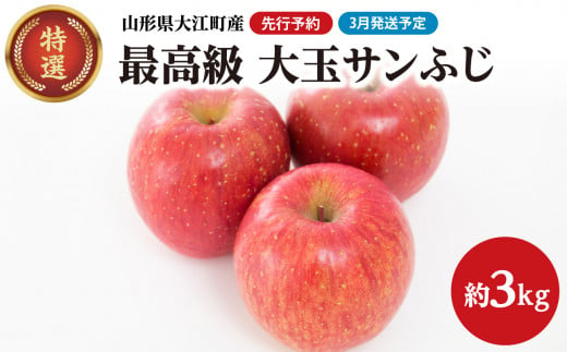 《先行予約》【3月発送予定】 最高級 特選大玉サンふじ約3kg【大江町産・山形りんご・大地農産】 【028-035】