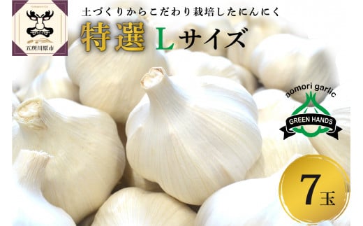 青森県産にんにく(特撰) Lサイズ7玉 ホワイト六片 にんにく 青森 五所川原 大蒜 ニンニク ガーリック