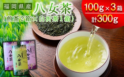 【スカイパレード】福岡県産 八女茶 煎茶 100g×3 SP003-1 1491089 - 福岡県須恵町