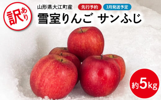 《先行予約》【3月発送予定】 訳あり 雪室りんごサンふじ 約5kg【大江町産・山形りんご・大地農産】 【028-033】