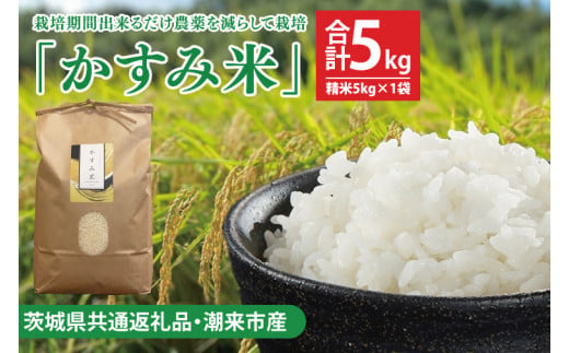 【茨城県共通返礼品・潮来市産】令和6年産新米　栽培期間出来るだけ農薬を減らして作る「かすみ米」（コシヒカリ）精米5kg 【減農薬 こしひかり おいしい おこめ 安心 安全 健康】（KBE-61） 1466562 - 茨城県鹿嶋市