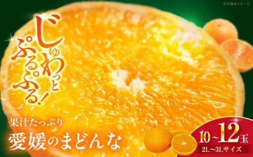 愛媛県産 峯田農園のとろける宝石みかん「まどんな」2L～3Lサイズ 10～12玉