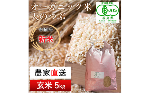 《新米先行受付》【令和6年産米】南相馬・根本有機農園のJAS有機米天のつぶ5kg（玄米）