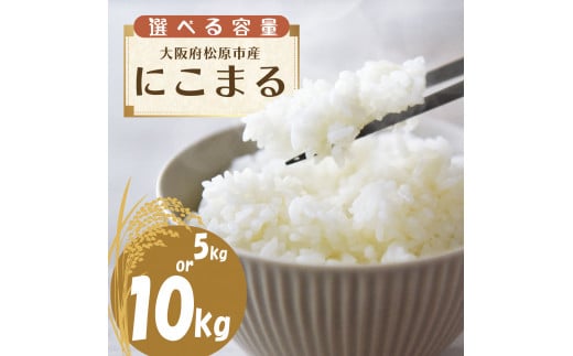 米 令和6年産 にこまる 5kg お米 精米 米 ごはん ご飯 10月配送 先行予約 2024年産 ブランド 米 おすすめ 米 産地直送 白米 白飯 ライス お粥 おにぎり 新米 大阪産 にこまる 備蓄 災害 防災 大阪府 松原市