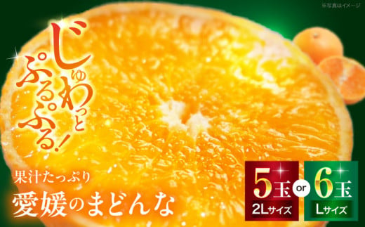 峯田農園のとろける宝石みかん「まどんな」2Lサイズ5玉又はLサイズ6玉