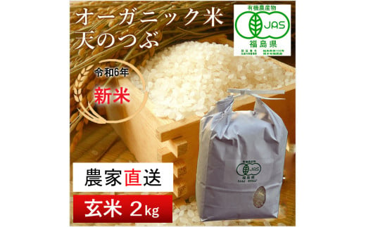 《新米先行受付》【令和6年産米】南相馬・根本有機農園のJAS有機米天のつぶ2kg(玄米）