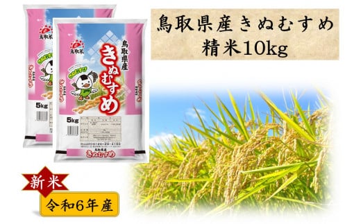 鳥取県湯梨浜町のふるさと納税 276J.鳥取県産きぬむすめ◇精米10kg◇令和6年産