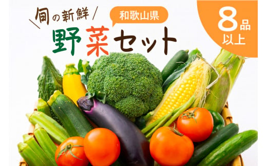 旬の新鮮野菜セットたっぷり8種以上