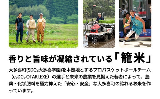 千葉県大多喜町のふるさと納税 W01701 【新米】令和６年産 「SDGsなコシヒカリ」白米10kg / 米 こめ コメ 白米 精米 こしひかり コシヒカリ 籠米 バスケットボール esDGs OTAKI.EXE SDGs 大多喜町 千葉県