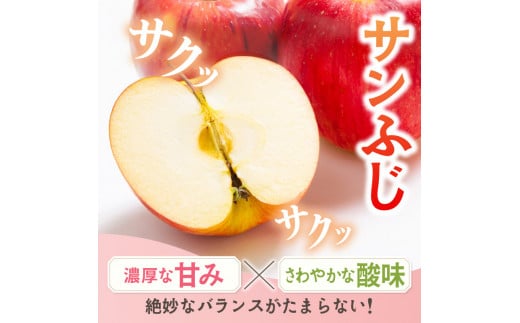 山形県大江町のふるさと納税 《先行予約》訳あり 家庭用サンふじ＆ラ・フランス約10kg 【12月上旬～配送】 【山形りんご・洋梨】 【054-002】