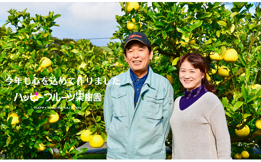 高知県宿毛市のふるさと納税 ハッピーフルーツ果樹園の土佐文旦5kg家庭用