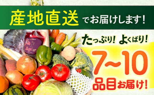 野菜 果物 きのこ 詰め合わせ 7〜10品目 旬 新鮮 セット