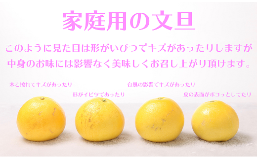 高知県宿毛市のふるさと納税 ハッピーフルーツ果樹園の土佐文旦5kg家庭用