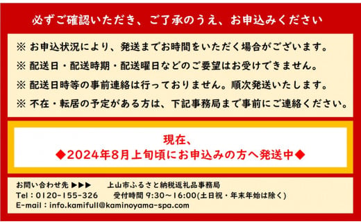 山形県上山市のふるさと納税 かみのやまシュー　１０個　0048-2406