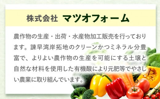 野菜 果物 きのこ 詰め合わせ 7〜10品目 旬 新鮮 セット